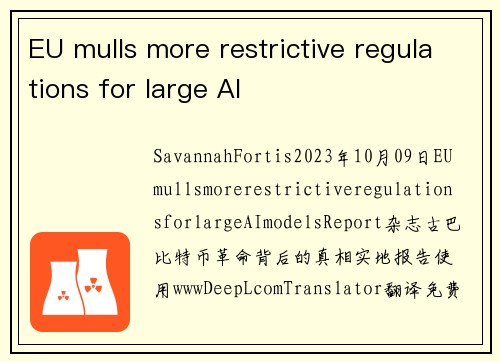 EU mulls more restrictive regulations for large AI