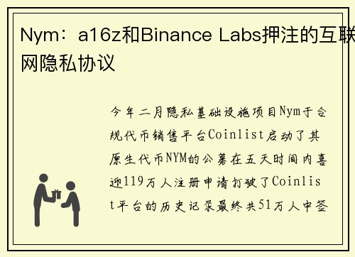 Nym：a16z和Binance Labs押注的互联网隐私协议